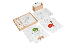 Botany Puzzle Activity Set