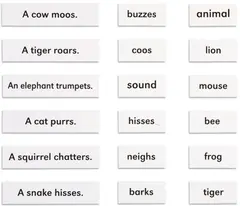 Animals And Their Sounds