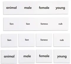 Animal Names