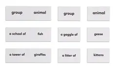 Animals And Their Groups